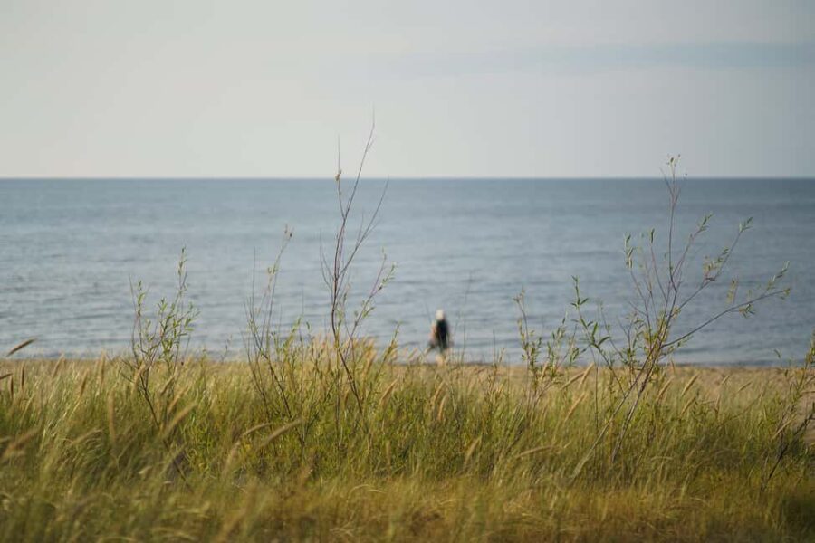 From Riga: Explore Latvian Nature With a Local Photographer - Scenic Drives Out of Riga to Latvian Countryside