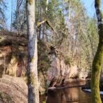 From Riga: Ligatne Village and Gauja River National Park - Discover the Historical Center of Ligatne Village