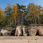 From Riga: Vidzeme Coast Half-Day Trip with Lunch - From Riga to the Vidzeme Coast: A Compact Coastal Adventure