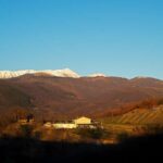 From Rome: Cantina Le Macchie Winery Tour and Tasting - Exploring the Modern Winery Production Facility