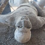 From Rome: Day Trip to Pompeii and Sorrento with lunch - Sorrento’s Coastal Charm and Lemon Groves