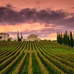 from Rome Montepulciano and Montalcino, the Wine Routes - Departure from Rome and Scenic Drive into Tuscany