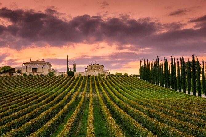from Rome Montepulciano and Montalcino, the Wine Routes - Departure from Rome and Scenic Drive into Tuscany