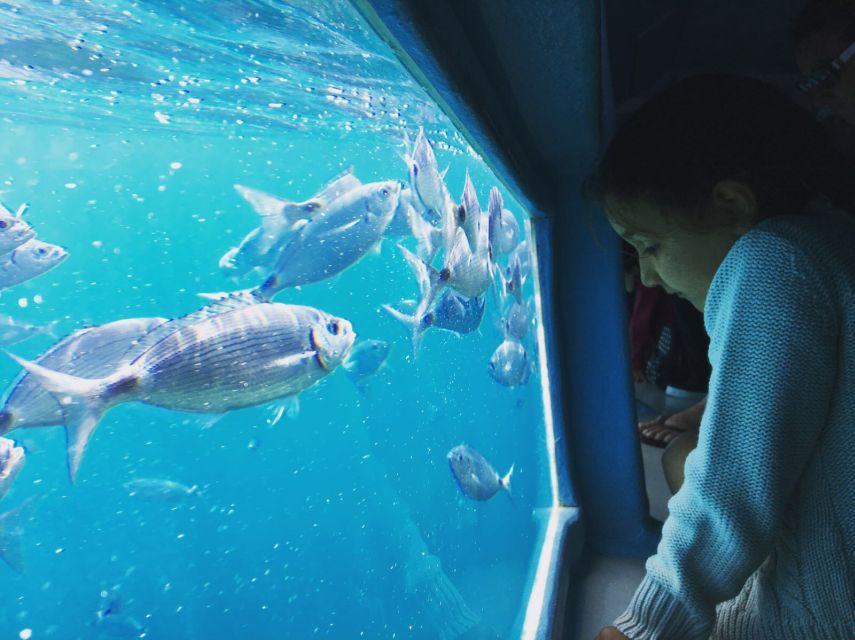 From Roses: Cap Norfeu Boat Cruise & Swimming - Exploring the Natural Beauty of Cabo de Creus by Boat