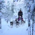 From Rovaniemi: 5km passenger Husky Sleigh Ride - Meeting the Husky Dogs and Learning About Arctic Life