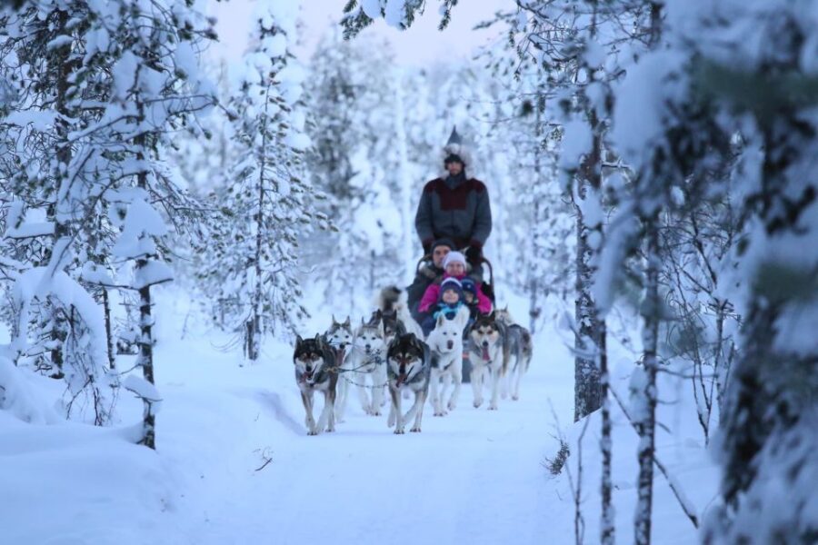 From Rovaniemi: 5km passenger Husky Sleigh Ride - Meeting the Husky Dogs and Learning About Arctic Life