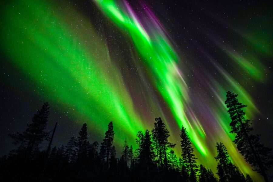 From Rovaniemi: Family-Friendly Northern Lights Tour - Exploring the Wilderness of Lapland