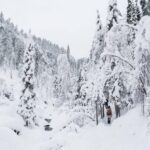 From Rovaniemi: Frozen Waterfalls of Korouoma Full-Day Tour - Top-View Spot on the Canyon’s Edge