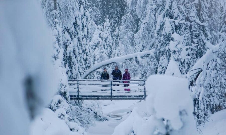 From Rovaniemi: Korouoma Canyon and Frozen Waterfalls Tour - Who Will Enjoy This Tour Most?