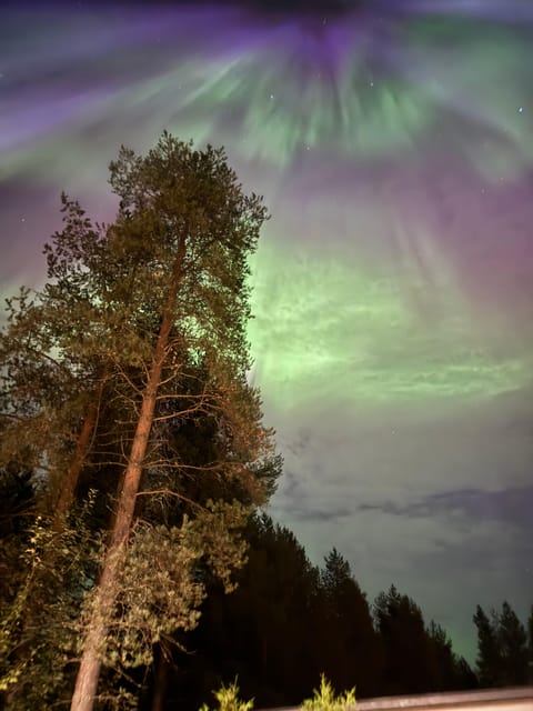 From Rovaniemi: Northern Lights Tour with Campfire Snacks - Scenic Pickup and Transfer from Rovaniemi