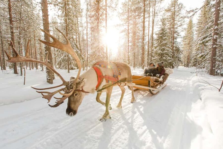 From Rovaniemi: Reindeer Farm Visit with Sleigh Ride - Exploring a Traditional Reindeer Farm in Lapland