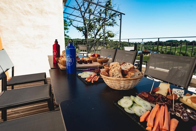 From Saint-Emilion : Electric Bike Day Tour with Wine Tastings and Picnic Lunch - The Route from Rustic Vines to the First Winery