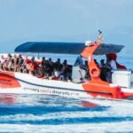 From Salou/Cambrils: Speedboat Tour - Embarking from Salou or Cambrils to the Costa Dorada Coastline