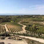 From San Sebastian/Bilbao/Vitoria: Rioja Wine Tour w/ Lunch - Visiting a Traditional Rioja Vineyard and Winery