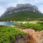 From San Teodoro: Tavolara Archipelago Dinghy Mini Tour - Visiting Cala Brandinchi: Known as Little Tahiti