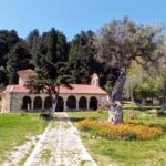 From Saranda: Vlora and Narta Lagoon Full-Day Guided Tour - Exploring Borsh and Porto Palermo