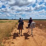 From Seville: Andalusian Horseback Ride - Starting Point and Transportation Options from Seville