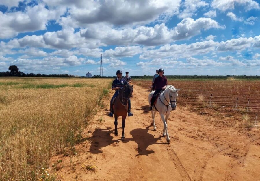 From Seville: Andalusian Horseback Ride - Starting Point and Transportation Options from Seville