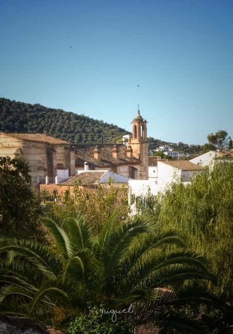 From Seville: Cerro del Hierro Private Hike with Picnic - Exploring the Mining Environment and Its Past