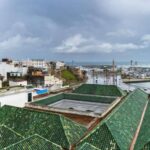 From Seville: Full-Day Tour to Tangier - How the Tour Starts: Pickup and Transport Logistics