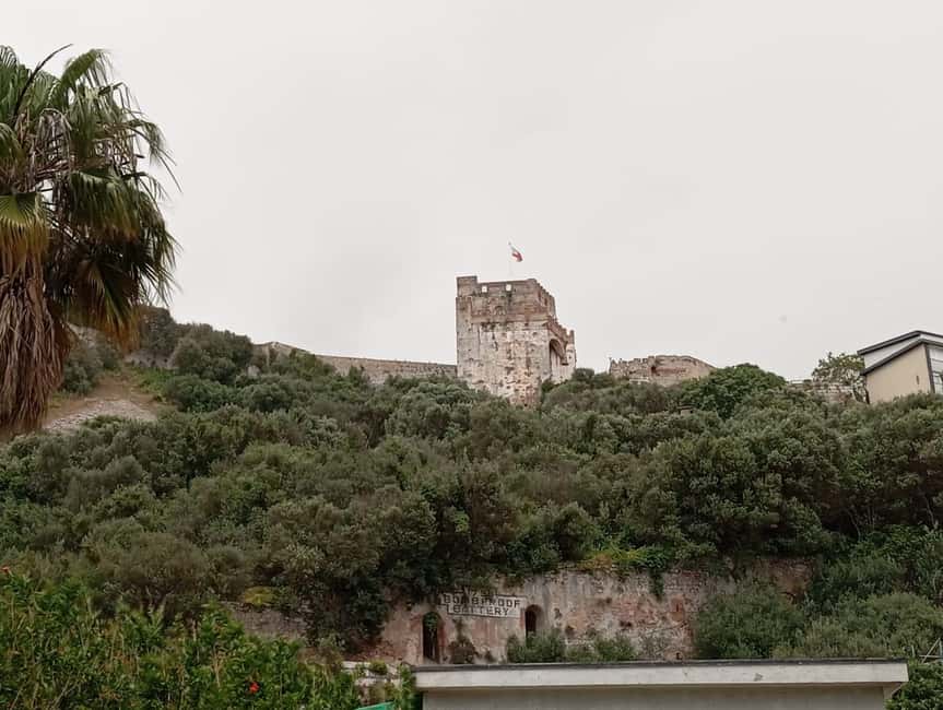 From Seville: Gibraltar Day Trip - Visiting the Rock of Gibraltar
