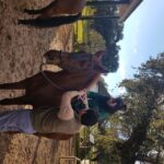 From Seville: Horseback Riding Experience in Aljarafe - Starting Point and Transportation Logistics in Seville