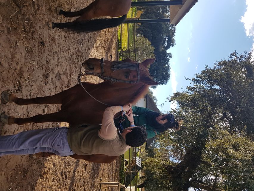 From Seville: Horseback Riding Experience in Aljarafe - Starting Point and Transportation Logistics in Seville