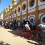 From Seville: Jerez and Cadiz Day Trip - How the Tour Begins: Pickup and Transportation