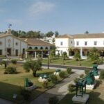 From Seville: Tour of Jerez with Horse Show & Wine Tasting - Tour of a Traditional Sherry Wine Bodega