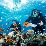 From Side, Alanya: Scuba Diving With 2 Time Dive & Lunch - Expert Instructors Lead Your Scuba Training