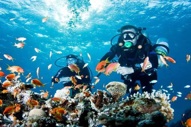 From Side, Alanya: Scuba Diving With 2 Time Dive & Lunch - Expert Instructors Lead Your Scuba Training