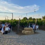 From Siena: Chianti and Castles Tour with Wine Tastings - Exploring Castellina in Chianti: Town and Vineyard Tour