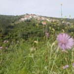 From Sintra, Mafra, or Ericeira: Hike and Wine Tour - Hiking 7 Kilometers Through Wine Country and Countryside