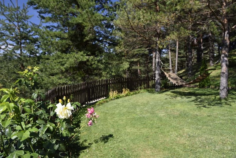 From Skopje: Berovo Full Day Tour and Hike - Exploring Berovo: A Mountain Town at 800-900 Meters