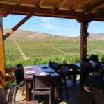 From Skopje: Private Tour of Sopot Winery with Lunch - Visiting Chateau Sopot: An Introduction to Macedonian Winemaking