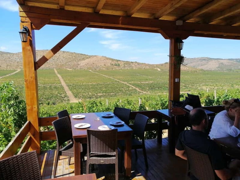 From Skopje: Private Tour of Sopot Winery with Lunch - Visiting Chateau Sopot: An Introduction to Macedonian Winemaking