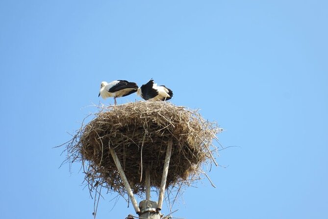 From Sofia: Serbia and Macedonia Trip - From Sofia to the Serbian Border and Bosilegrad