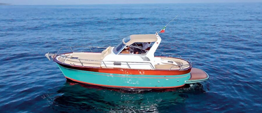 From Sorrento: Private Boat Tour to Capri Island - The Private Boat and Professional Skipper