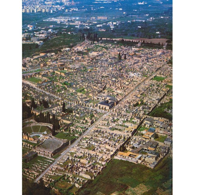 From Sorrento:Skip-the-line Pompeii Ruins All-inclusive Tour - Discovering Well-Preserved Mosaics, Frescoes, and Body Casts