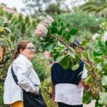 From South Tenerife: La Gomera Island Day Trip with Lunch - From South Tenerife to La Gomera: Catching the Ferry