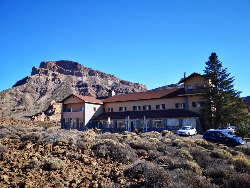 From South Tenerife: Teide National Park Tour - Exploring the Enormous Pine Forest and El Pino Gordo