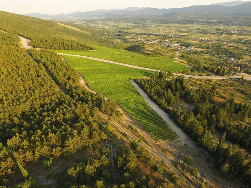 From Split: Blue and Red Lakes and Winery Grabovac Tour - Discovering the Blue Lake’s Changing Face