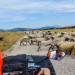 From Split: Full-Day Horse Riding & Quad Biking with Lunch - Horseback Riding in the Village of Ogorje