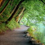 From Split or Trogir: Plitvice Lakes Guided Tour - Practical Details: Meeting Points, Transportation, and Park Entry