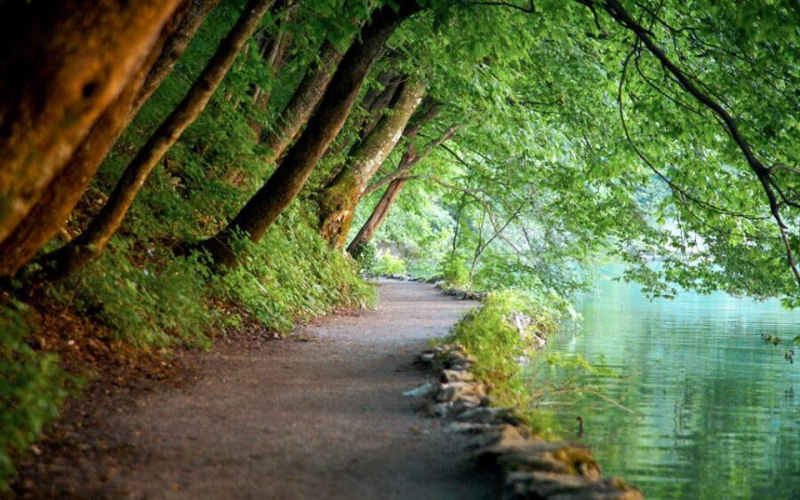 From Split or Trogir: Plitvice Lakes Guided Tour - Practical Details: Meeting Points, Transportation, and Park Entry