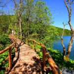 From Split or Trogir: Plitvice Lakes Trip with Entry Ticket - Discovering the Lakes and Waterfalls of Plitvice