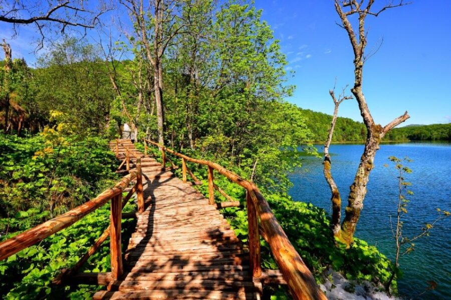 From Split or Trogir: Plitvice Lakes Trip with Entry Ticket - Discovering the Lakes and Waterfalls of Plitvice