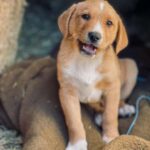 From Split: Sinj's Alka, Eye of the Earth, & Rural Day Trip - The Source of the Cetina River: Nature’s Quiet Power