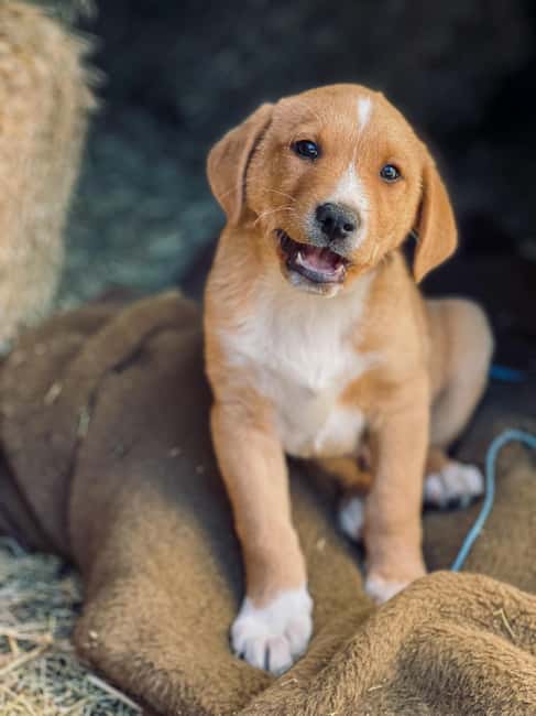 From Split: Sinj's Alka, Eye of the Earth, & Rural Day Trip - The Source of the Cetina River: Nature’s Quiet Power