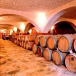 From Split & Trogir: Peljeac Peninsula Food & Wine Tour - Traveling from Split & Trogir to the Peljeac Peninsula